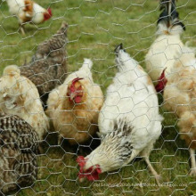 Poultry Netting